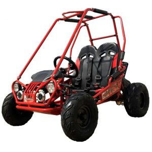 trailmaster mini xrx+ go karts.