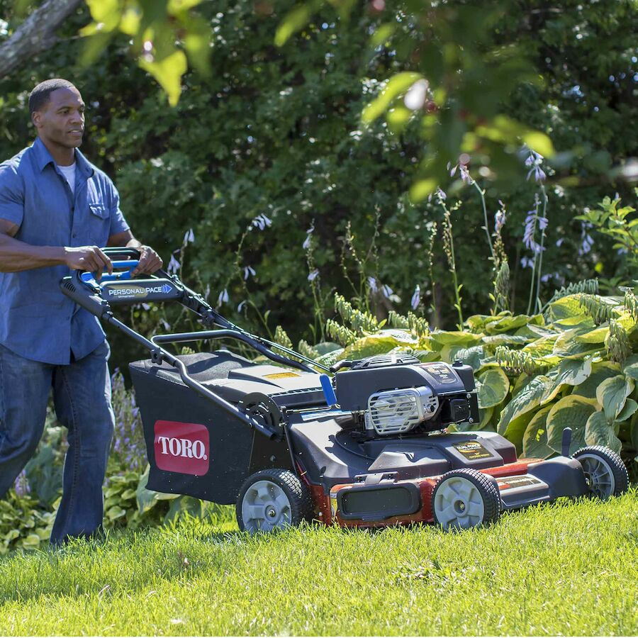 toro timemaster 21199 30 in. 223 cc gas self propelled lawn mower